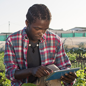 Standard Bank launched OneFarm as a pilot in Kasese, Uganda